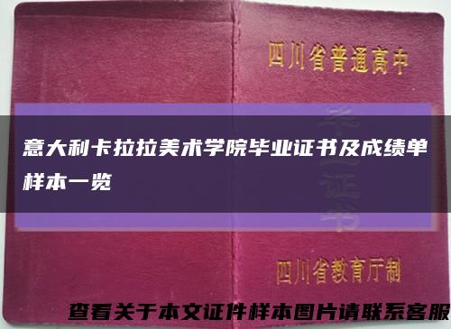 意大利卡拉拉美术学院毕业证书及成绩单样本一览缩略图