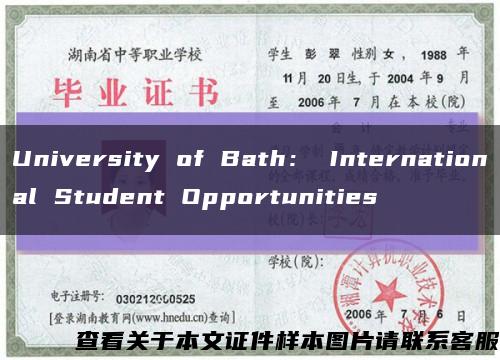 University of Bath： International Student Opportunities缩略图