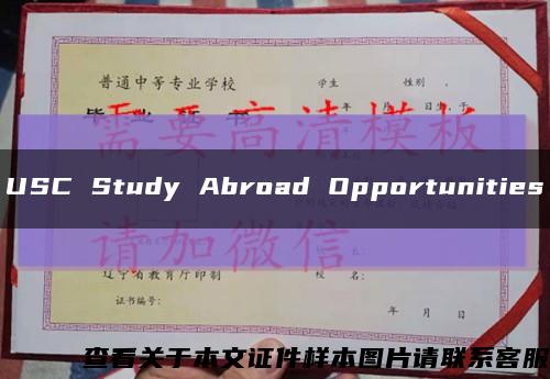 USC Study Abroad Opportunities缩略图