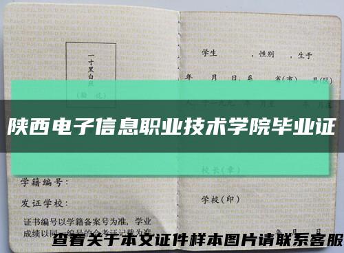 陕西电子信息职业技术学院毕业证缩略图