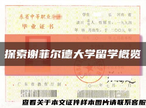 探索谢菲尔德大学留学概览缩略图