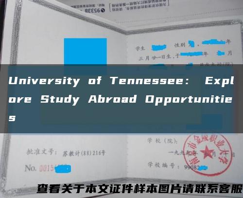 University of Tennessee： Explore Study Abroad Opportunities缩略图