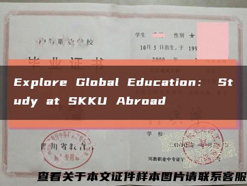 Explore Global Education： Study at SKKU Abroad缩略图