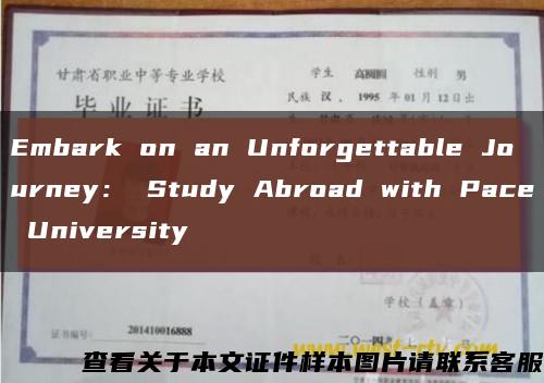 Embark on an Unforgettable Journey： Study Abroad with Pace University缩略图