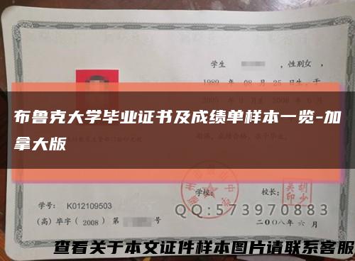 布鲁克大学毕业证书及成绩单样本一览-加拿大版缩略图