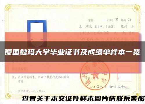 德国魏玛大学毕业证书及成绩单样本一览缩略图