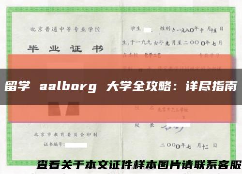 留学 aalborg 大学全攻略：详尽指南缩略图