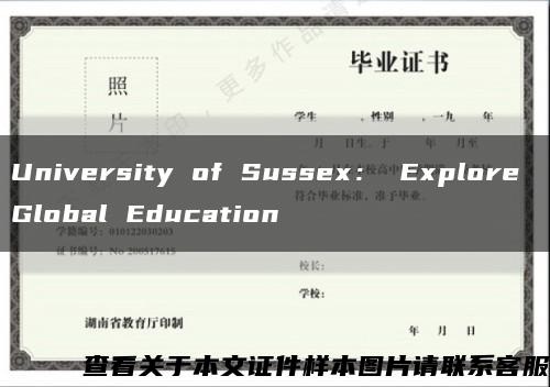 University of Sussex： Explore Global Education缩略图