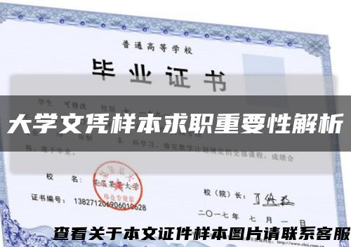 大学文凭样本求职重要性解析缩略图