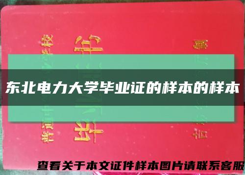 东北电力大学毕业证的样本的样本缩略图