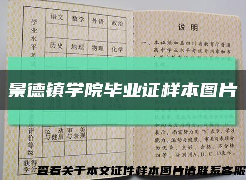 景德镇学院毕业证样本图片缩略图