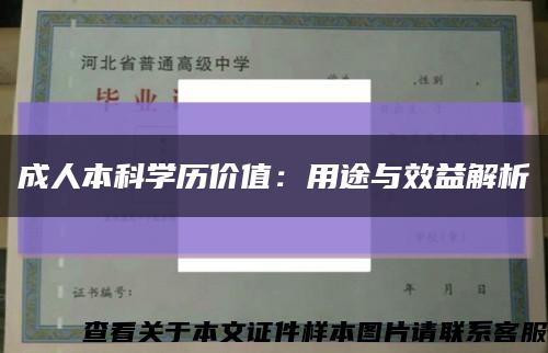 成人本科学历价值：用途与效益解析缩略图