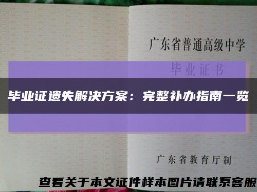 毕业证遗失解决方案：完整补办指南一览缩略图