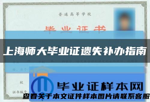 上海师大毕业证遗失补办指南缩略图