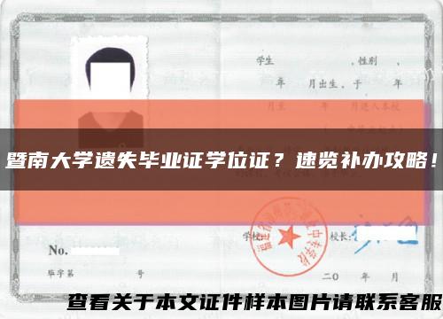 暨南大学遗失毕业证学位证？速览补办攻略！缩略图