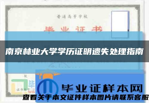 南京林业大学学历证明遗失处理指南缩略图