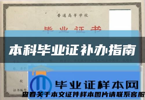 本科毕业证补办指南缩略图