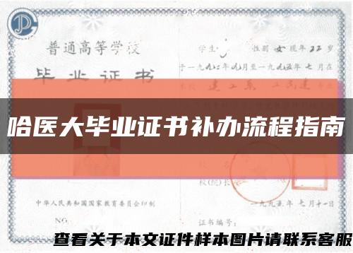 哈医大毕业证书补办流程指南缩略图