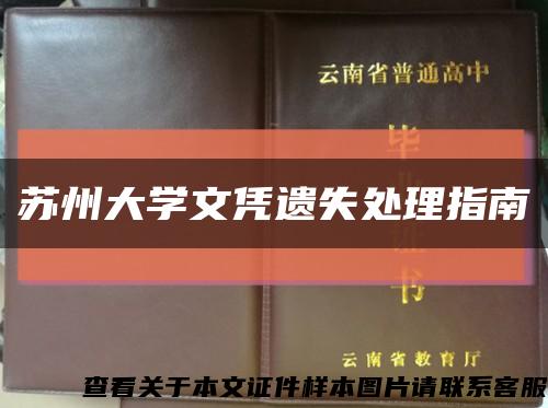 苏州大学文凭遗失处理指南缩略图