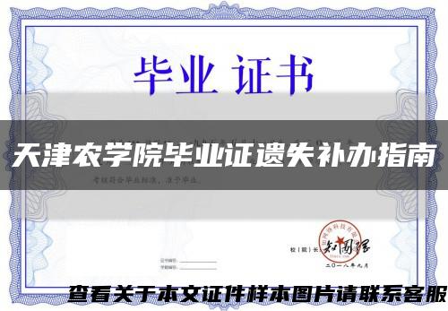 天津农学院毕业证遗失补办指南缩略图