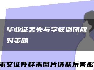 毕业证丢失与学校倒闭应对策略缩略图