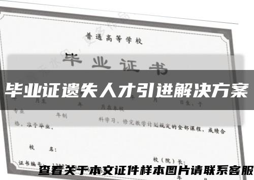 毕业证遗失人才引进解决方案缩略图