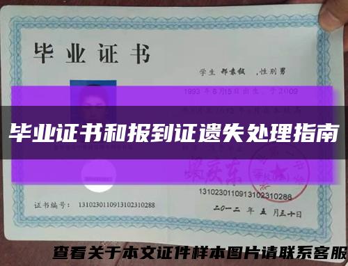 毕业证书和报到证遗失处理指南缩略图