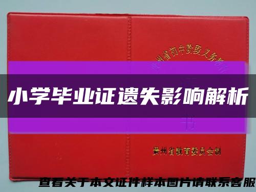 小学毕业证遗失影响解析缩略图