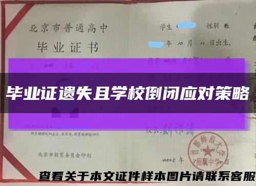 毕业证遗失且学校倒闭应对策略缩略图