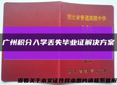 广州积分入学丢失毕业证解决方案缩略图