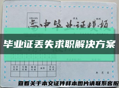 毕业证丢失求职解决方案缩略图