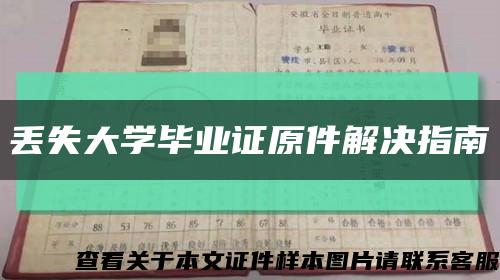 丢失大学毕业证原件解决指南缩略图