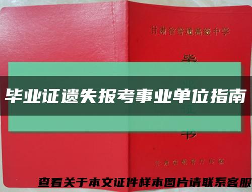 毕业证遗失报考事业单位指南缩略图