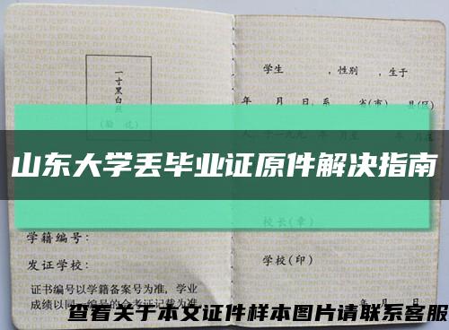 山东大学丢毕业证原件解决指南缩略图