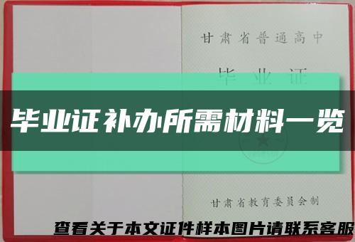 毕业证补办所需材料一览缩略图