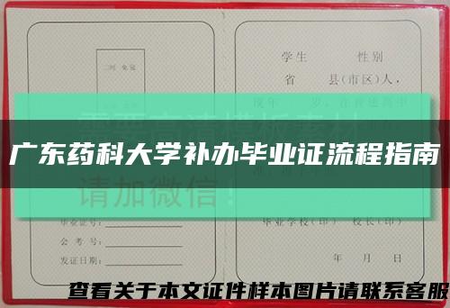 广东药科大学补办毕业证流程指南缩略图