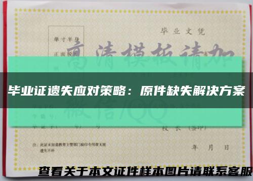 毕业证遗失应对策略：原件缺失解决方案缩略图