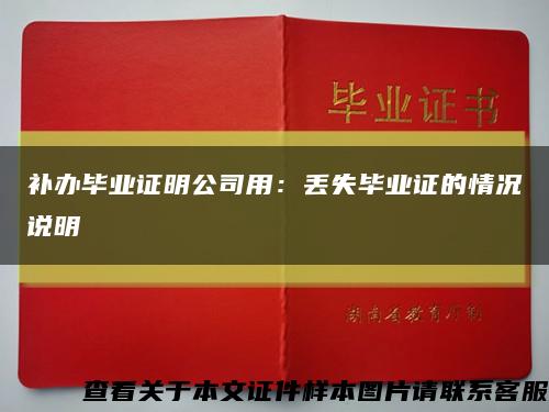 补办毕业证明公司用：丢失毕业证的情况说明缩略图