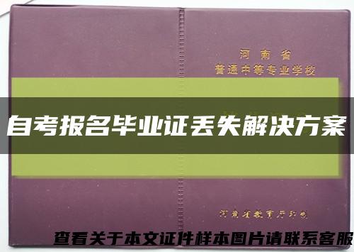 自考报名毕业证丢失解决方案缩略图