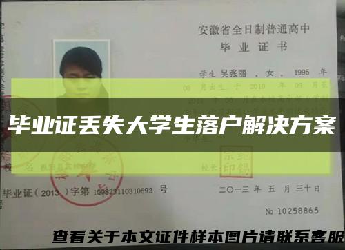 毕业证丢失大学生落户解决方案缩略图