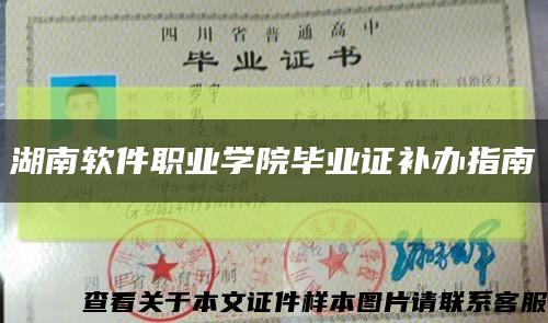 湖南软件职业学院毕业证补办指南缩略图