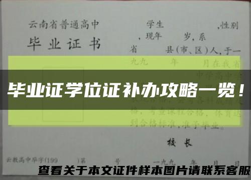 毕业证学位证补办攻略一览！缩略图