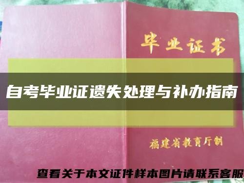 自考毕业证遗失处理与补办指南缩略图