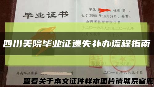 四川美院毕业证遗失补办流程指南缩略图