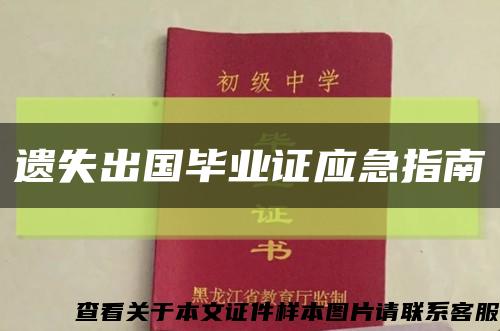 遗失出国毕业证应急指南缩略图