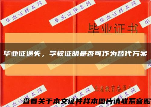 毕业证遗失，学校证明是否可作为替代方案缩略图