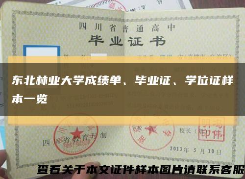 东北林业大学成绩单、毕业证、学位证样本一览缩略图