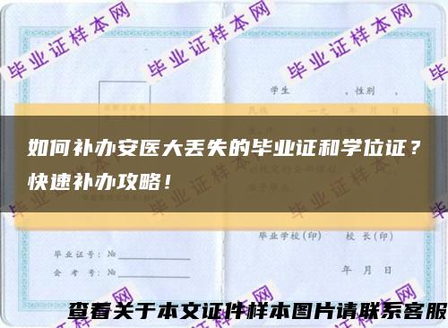 如何补办安医大丢失的毕业证和学位证？快速补办攻略！缩略图