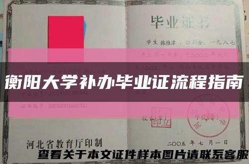 衡阳大学补办毕业证流程指南缩略图