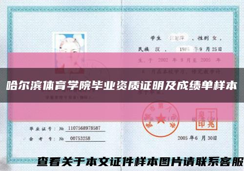 哈尔滨体育学院毕业资质证明及成绩单样本缩略图